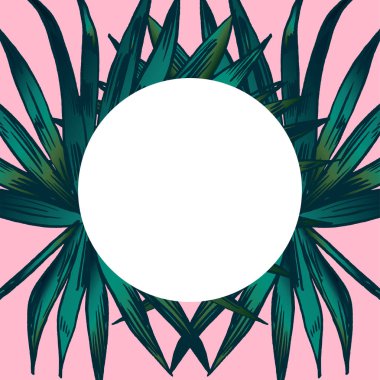 Egzotik çiçekler ayarlayın. Vintage botanik vektör çizim.