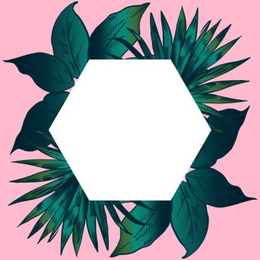 Egzotik çiçekler ayarlayın. Vintage botanik vektör çizim.