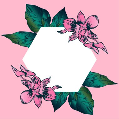 Egzotik çiçekler ayarlayın. Vintage botanik vektör çizim.