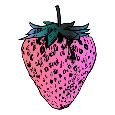 çilek vektör çizim.