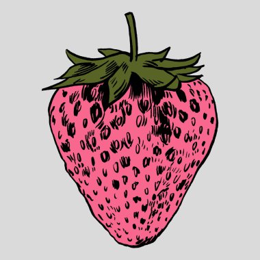 çilek vektör çizim.