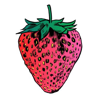 çilek vektör çizim.