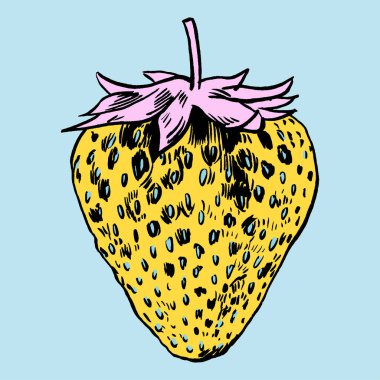 çilek vektör çizim.