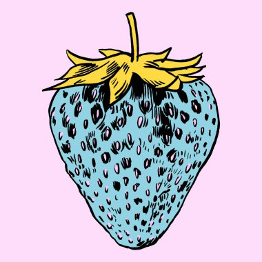 çilek vektör çizim.