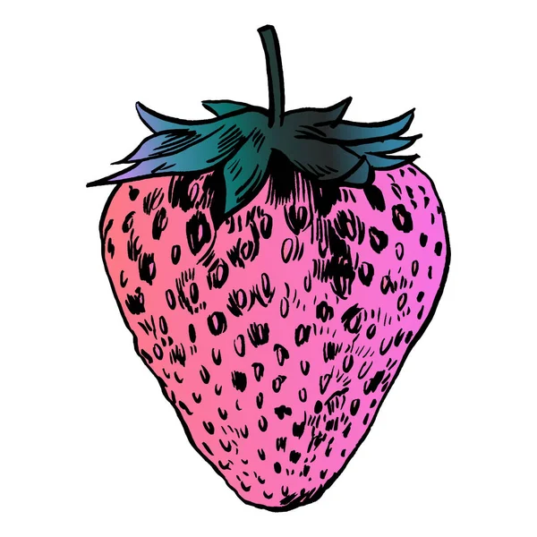 çilek vektör çizim.