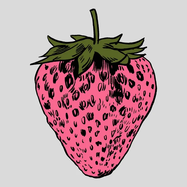 çilek vektör çizim.