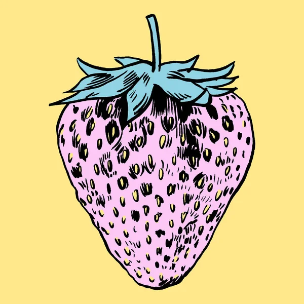 çilek vektör çizim.