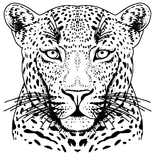 Luipaard gezicht tatoeage, vectorillustratie, afdrukken — Stockvector