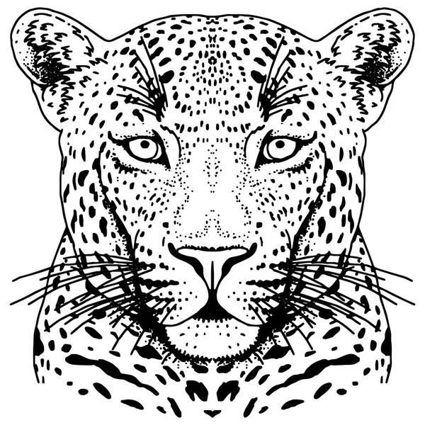 Leopard twarzy tatuaż, ilustracji wektorowych, drukowanie — Wektor stockowy