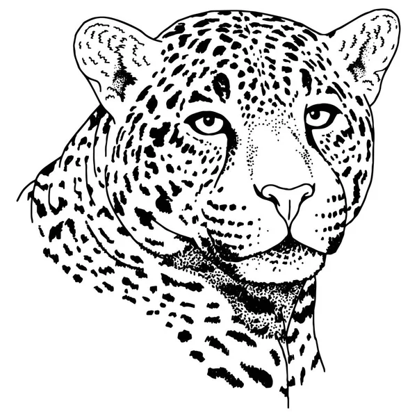 Tatuagem de rosto de leopardo, Ilustração do vetor, impressão — Vetor de Stock