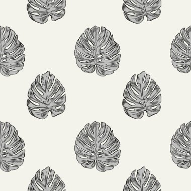 Egzotik çiçekler ayarlayın. Botanik vintage illüstrasyon.