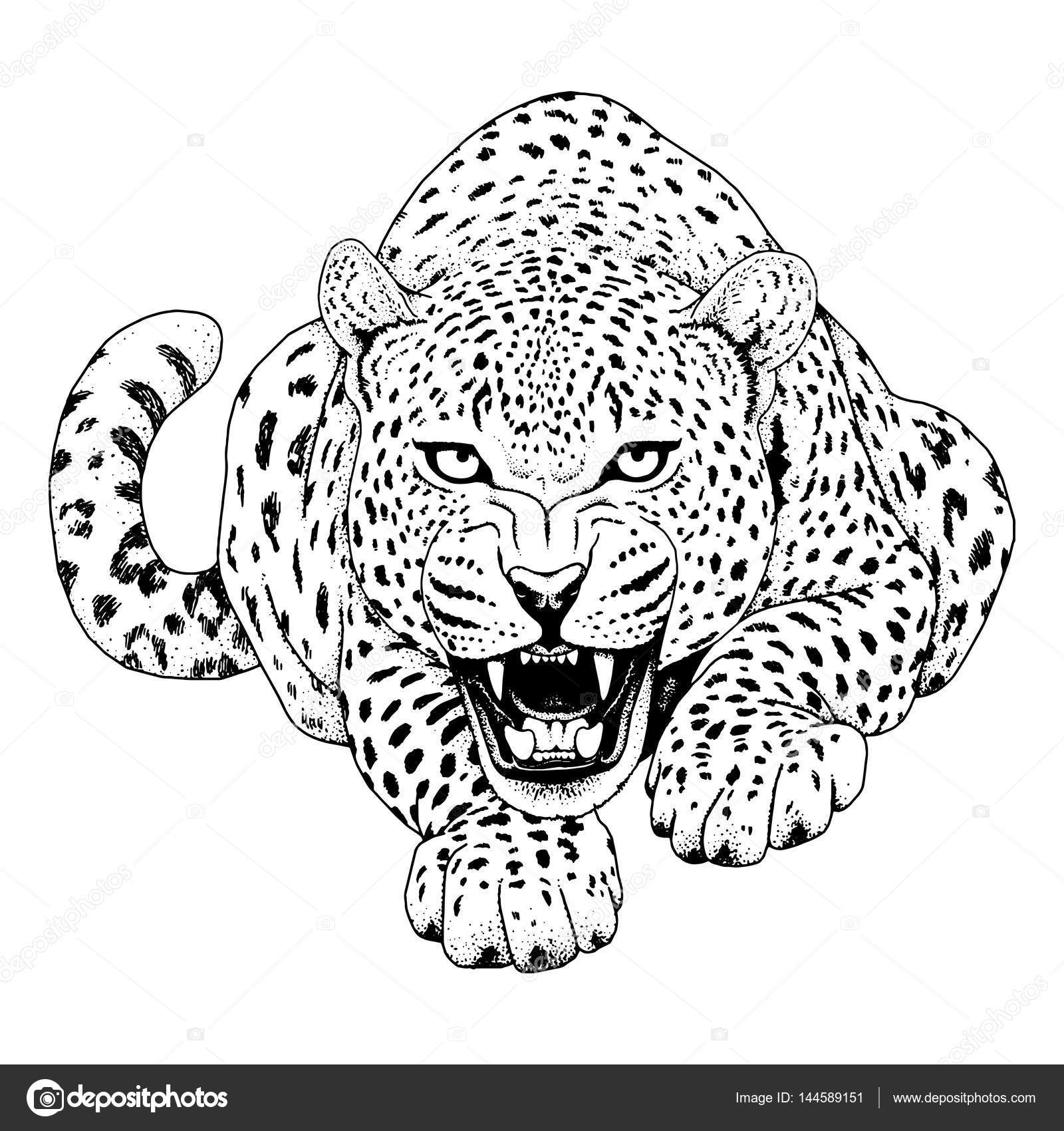 Leopard face tattoo ,Vector illustration, print — Stock Vector