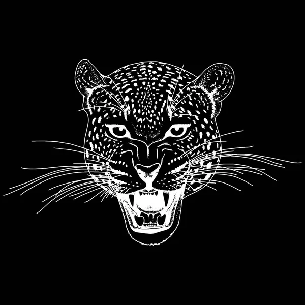 Tatuagem de rosto de leopardo, Ilustração do vetor, impressão —  Vetores de Stock