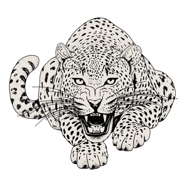 Tatuaje facial de leopardo, ilustración vectorial, impresión — Vector de stock