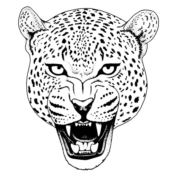 Tatuagem de rosto de leopardo, Ilustração do vetor, impressão — Vetor de Stock