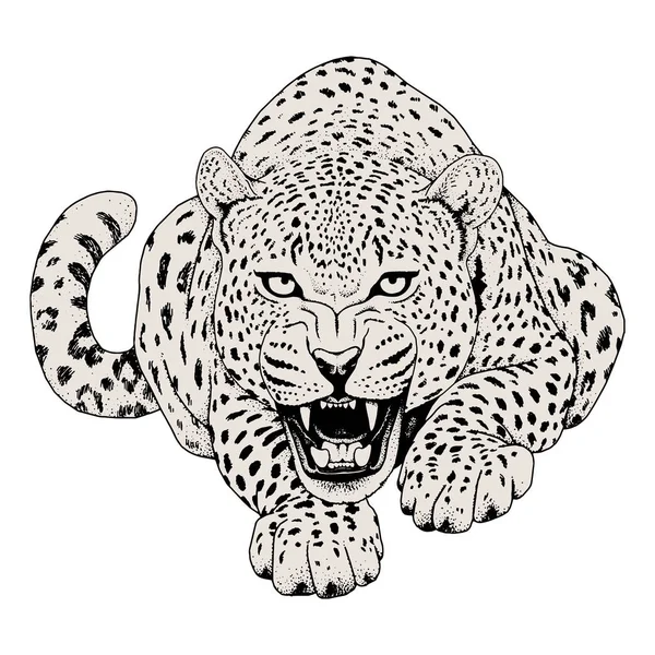 Leopardengesicht tätowiert, Vektorillustration, Druck — Stockvektor