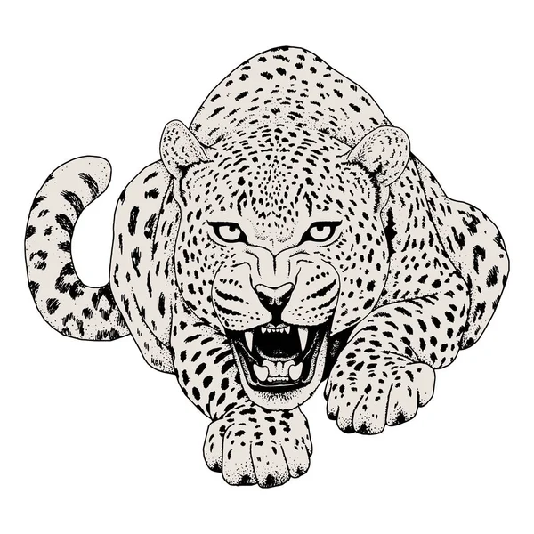 Leopard ansiktstatuering, vektorillustration, skriva ut — Stock vektor