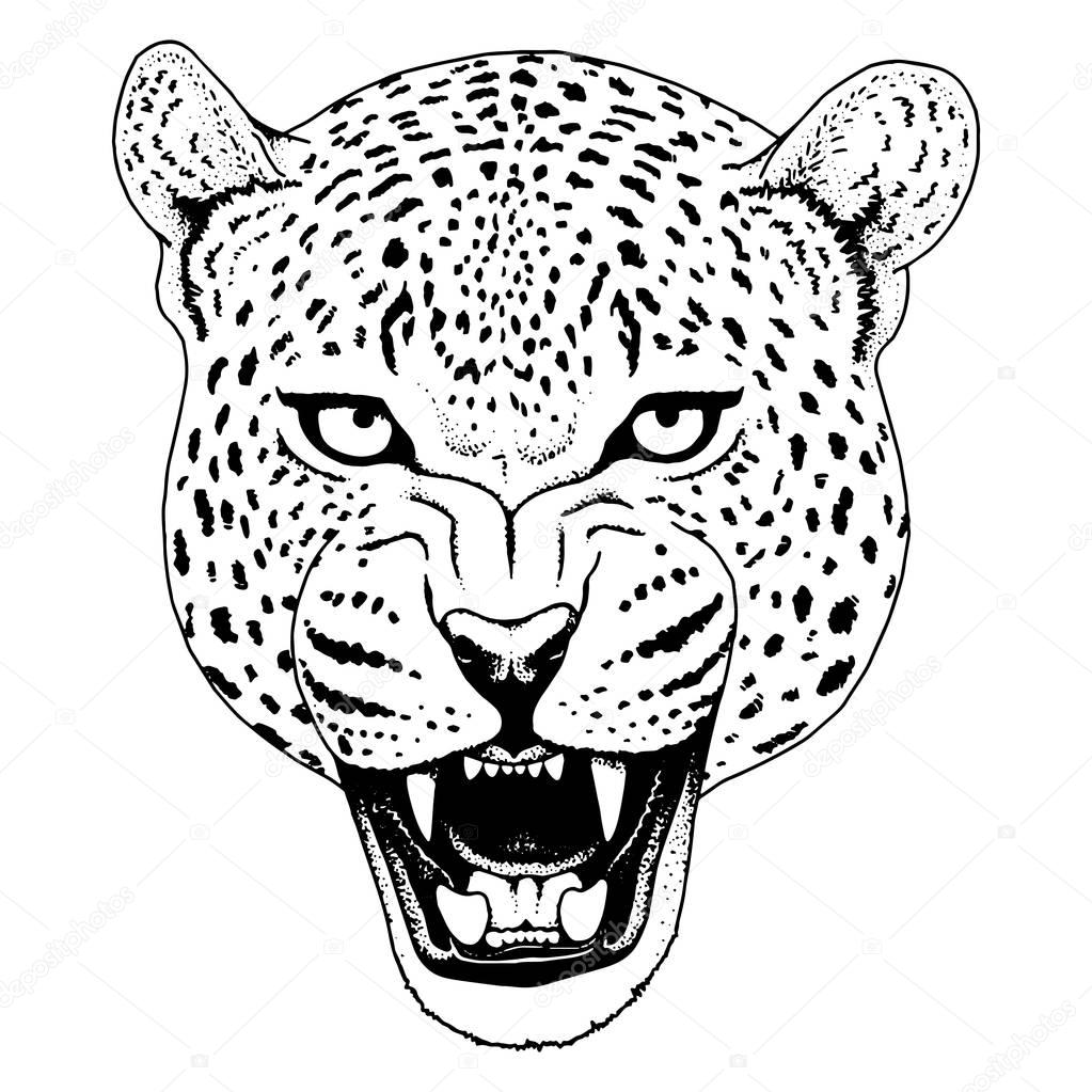 Leopard face tattoo ,Vector illustration, print