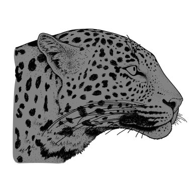Leopar yüz tattoo, vektör çizim, yazdırma