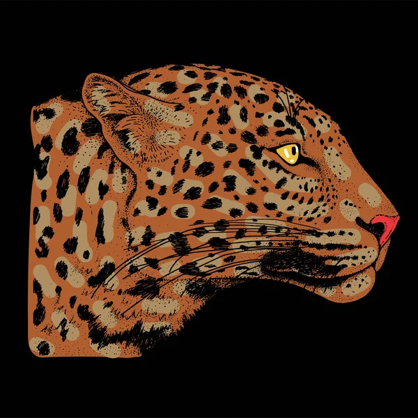 Luipaard gezicht tatoeage, vectorillustratie, afdrukken — Stockvector