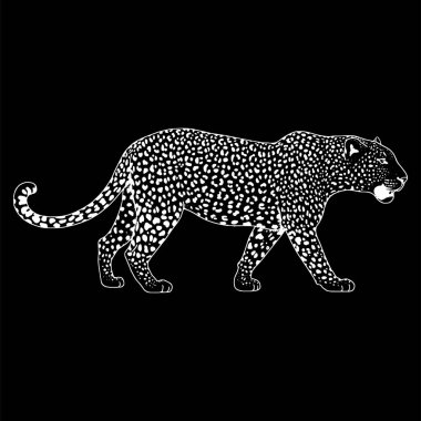 Leopar yüz tattoo, vektör çizim, yazdırma