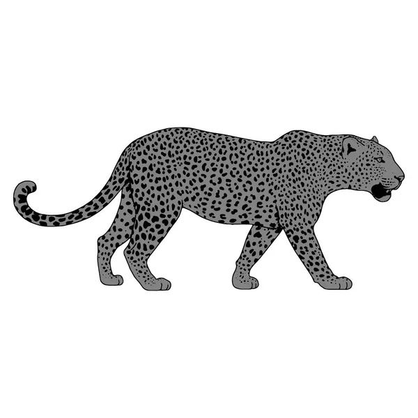 Tetování obličeje Leopard, vektorové ilustrace, tisk — Stockový vektor