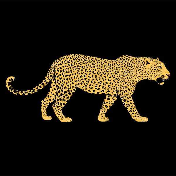 Leopar yüz tattoo, vektör çizim, yazdırma