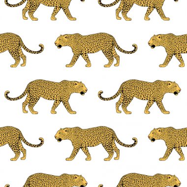 Leopar yüz tattoo, illüstrasyon, yazdırma