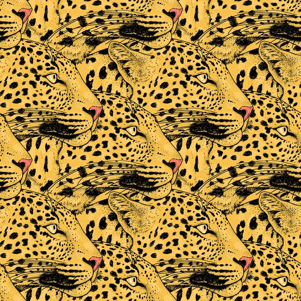 Leopar yüz tattoo, illüstrasyon, yazdırma