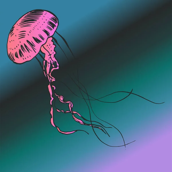 Wektor ilustracja meduzy. Ręcznie malowane. — Wektor stockowy
