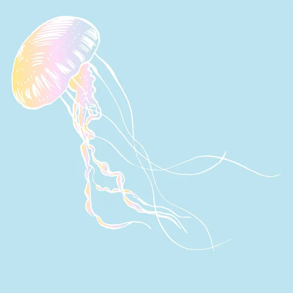 Vector illustration jellyfish. Painted by hand. — Stock Vector