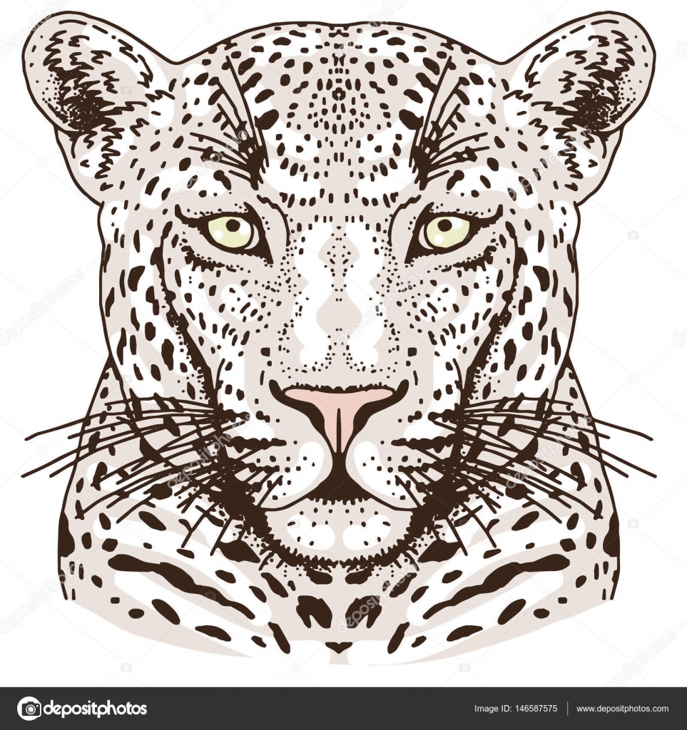 picture Disegno Di Un Giaguaro https it depositphotos com 146587575 stock illustration leopard face tattoo vector illustration html