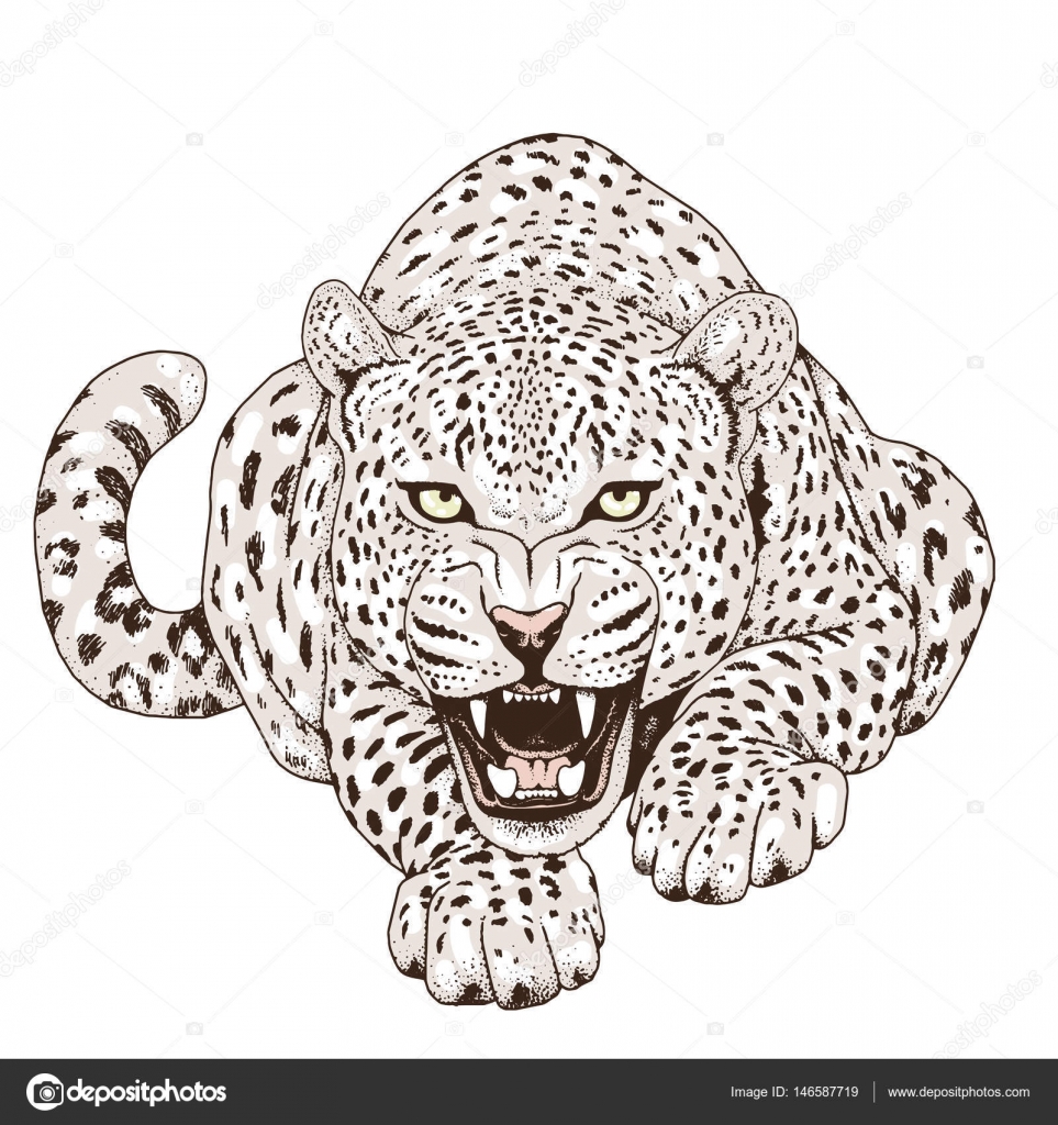 Leopard face tattoo ,Vector illustration, print Stock Vector Image by ©TAkhmet #146587719 Leopard face tattoo ,Vector illustration, print Stock Vector Image by ©TAkhmet #146587719