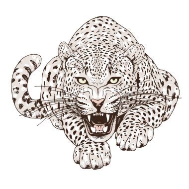 Leopar yüz tattoo, vektör çizim, yazdırma