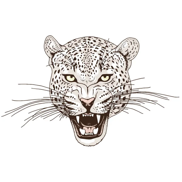 Tatuagem de rosto de leopardo, Ilustração do vetor, impressão — Vetor de Stock