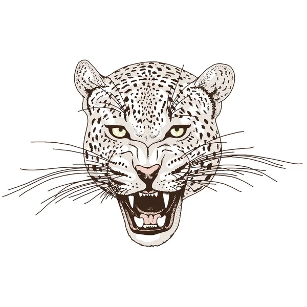 Leopard ansiktstatuering, vektorillustration, skriva ut — Stock vektor