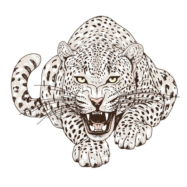 Tatuaggio volto leopardato, Illustrazione vettoriale, stampa — Vettoriale Stock