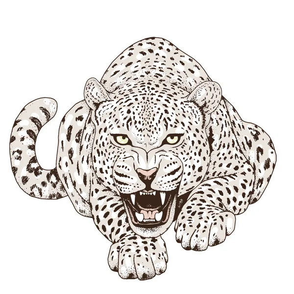 Leopard arc-tetoválás, vektoros illusztráció, nyomtatás — Stock Vector