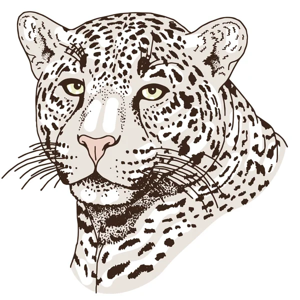 Tatuaggio volto leopardato, Illustrazione vettoriale, stampa — Vettoriale Stock