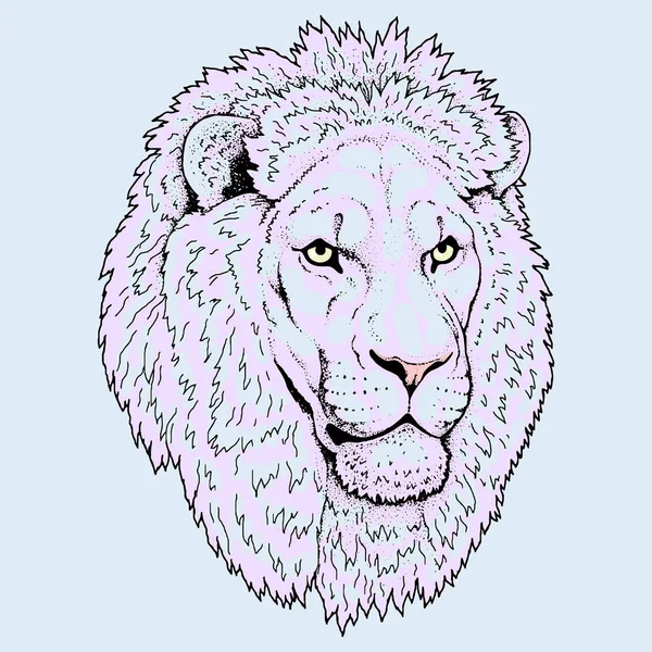Hermosa obra de arte de leones. Detallado.Depredador africano . — Vector de stock