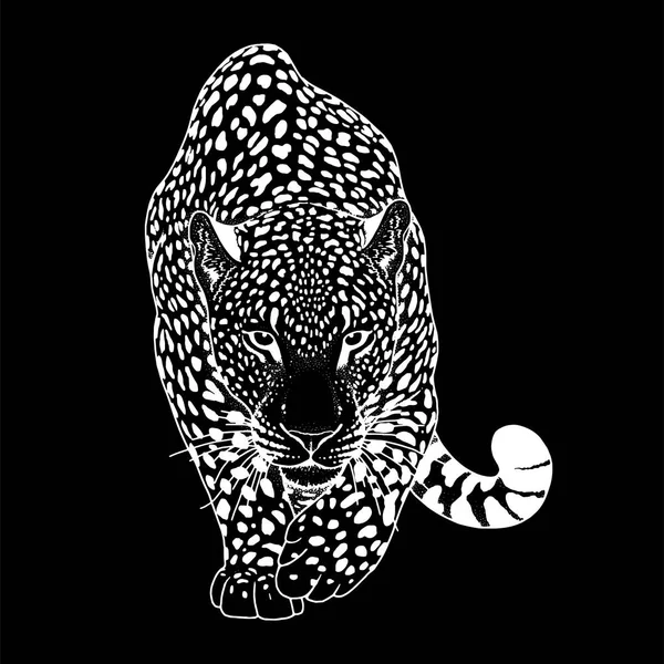 Ilustración de leopardo, animal vector gráfico — Vector de stock