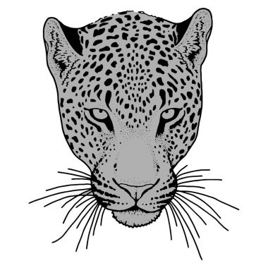 Leopar yüz tattoo, vektör çizim, yazdırma