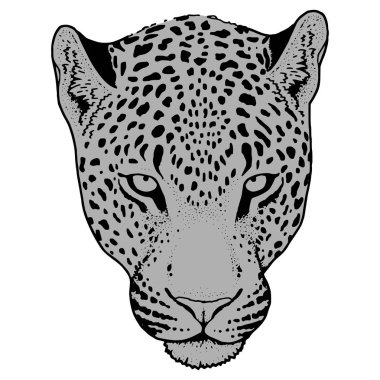 Leopar yüz tattoo, vektör çizim, yazdırma