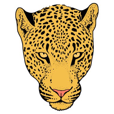 Leopar yüz tattoo, vektör çizim, yazdırma