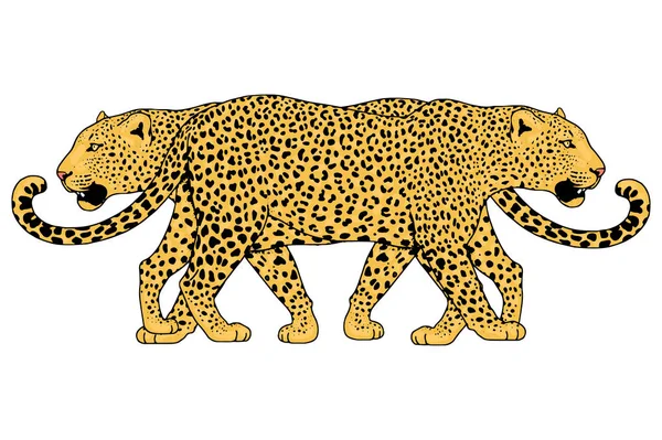 Tatuaje facial de leopardo, ilustración vectorial, impresión — Vector de stock