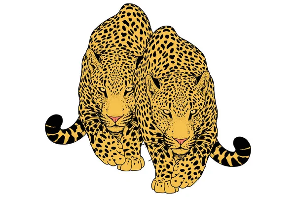 Leopard ansiktstatuering, vektorillustration, skriva ut — Stock vektor