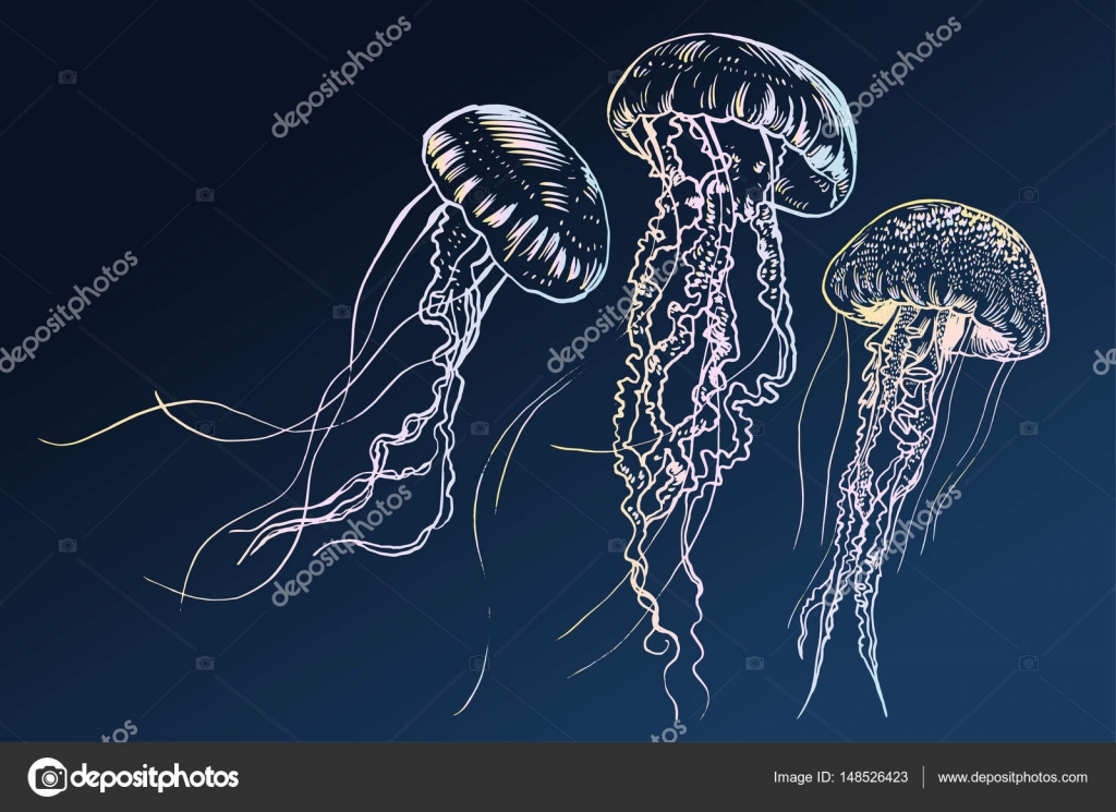 Download Hand drawn jellyfish. Vector illustration. Sea collection. — Stock Vector © TAkhmet #148526423