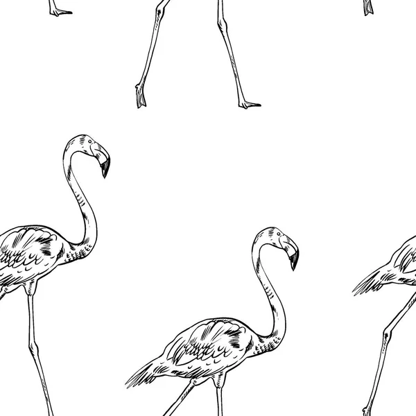 Illustration des rosa Flamingo-Vektors — Stockvektor