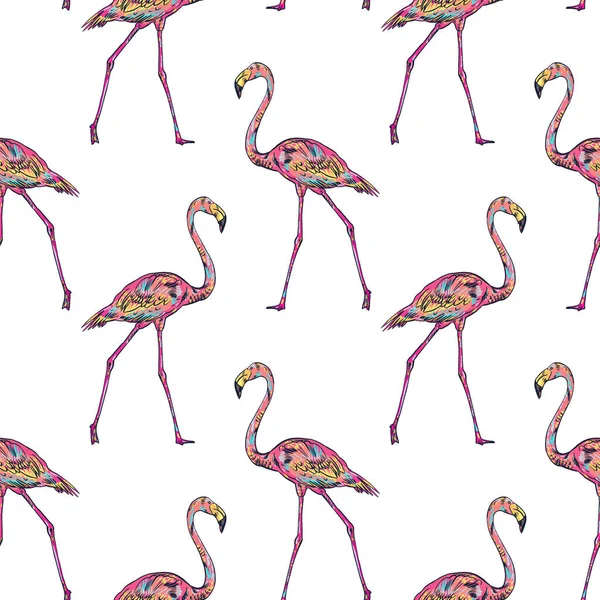 Ilustração vetorial flamingo rosa —  Vetores de Stock