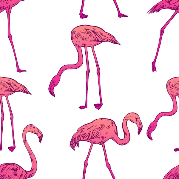 Roze flamingo vector illustratie — Stockvector